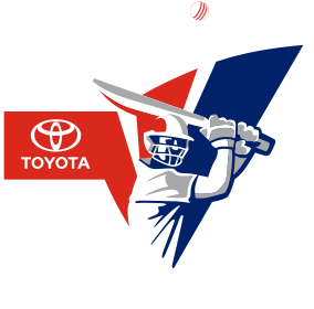 Minor League Cricket Logo