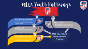 Best Minor League system development 2022